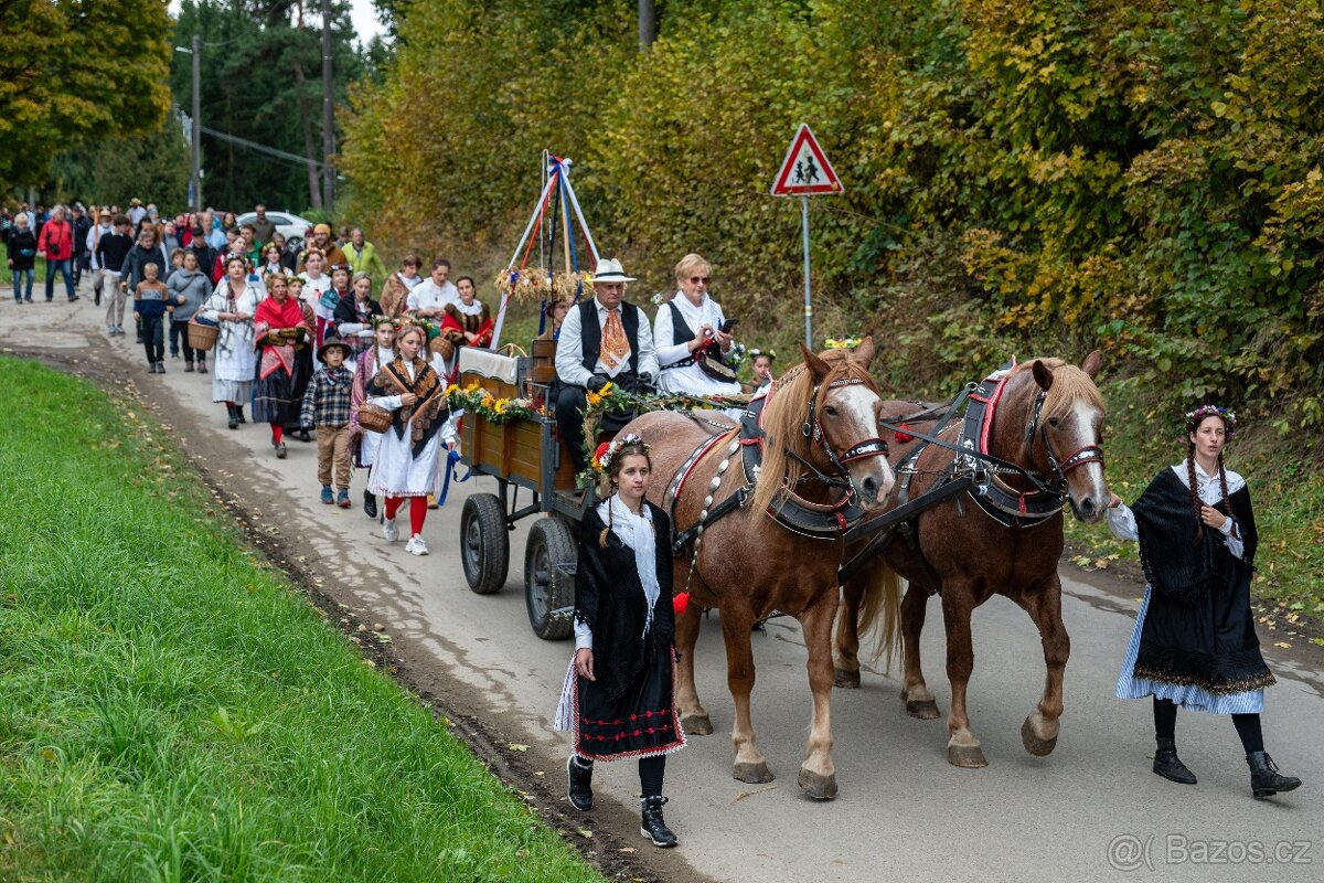 Klisna ČMB - 3