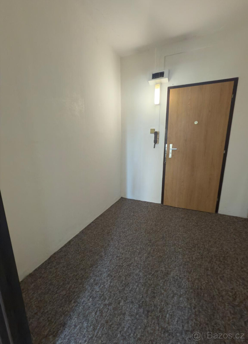 Prodej družstevního bytu 1+kk o velikosti 30 m2. - 3