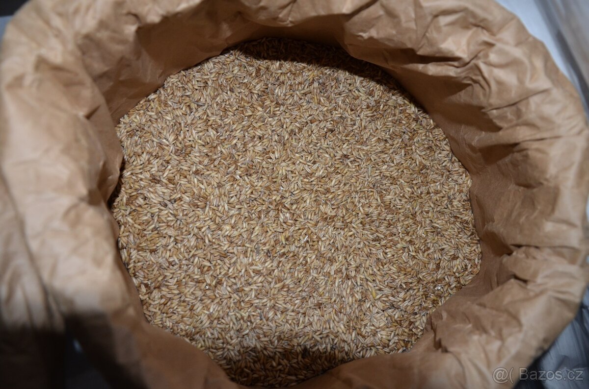 Lesknici, oves nahý, proso žluté a zelené , hrách, hrachové - 3