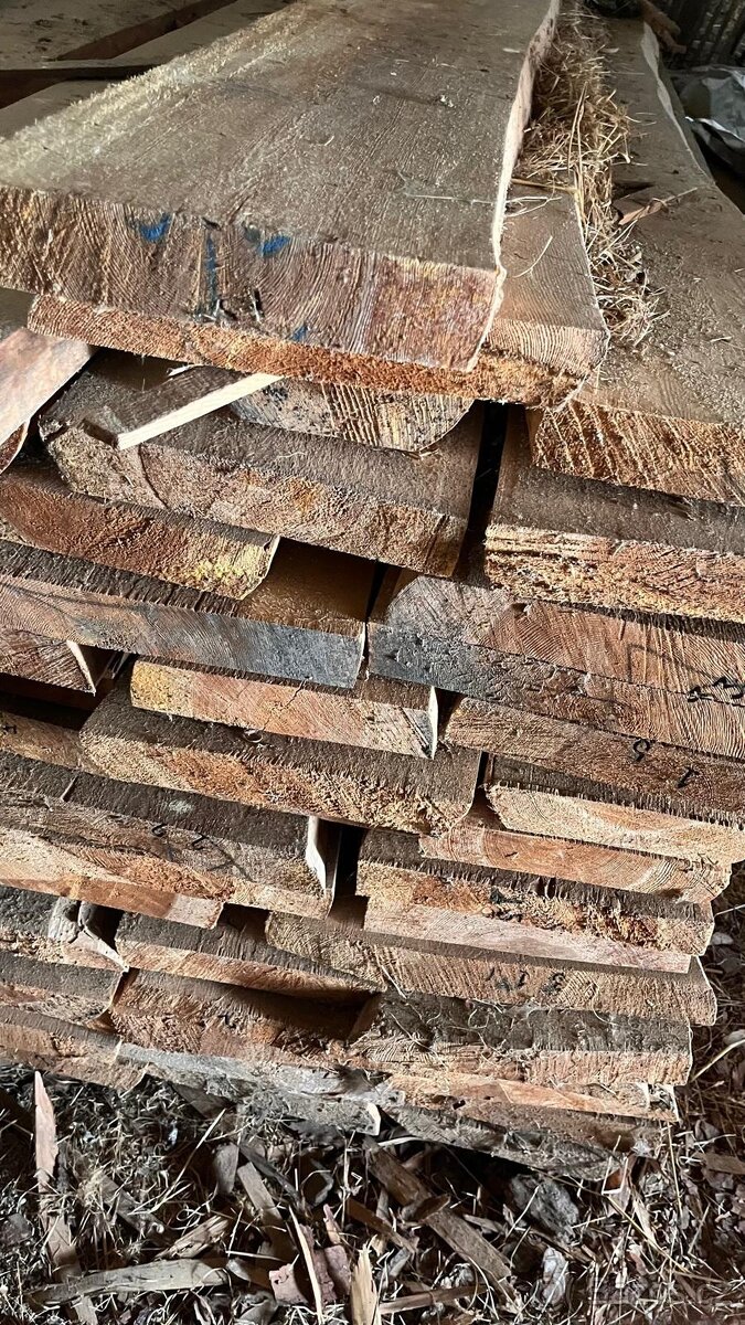 Prkna, fošny. borvice, smrk - 3