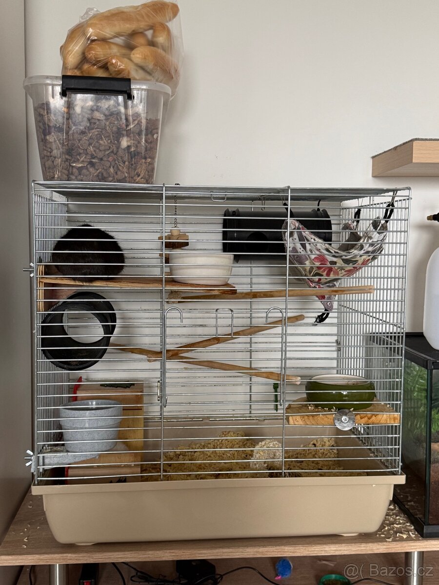 Daruji potkánky - 3