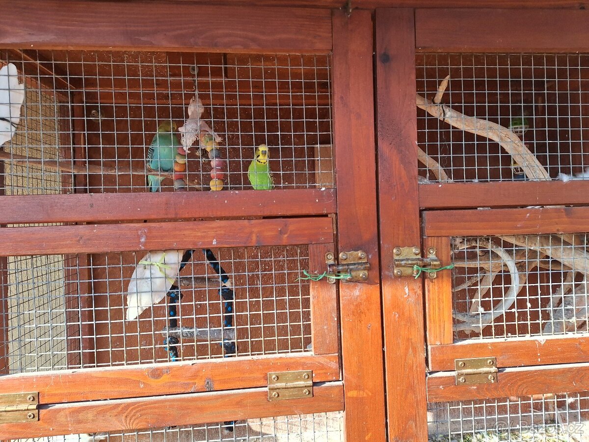 Voliéra + andulky - 3