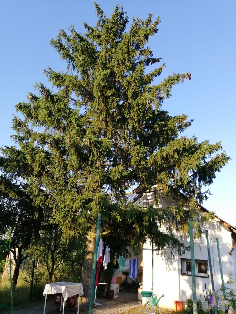 Prodej chaty s pozemkem - 3