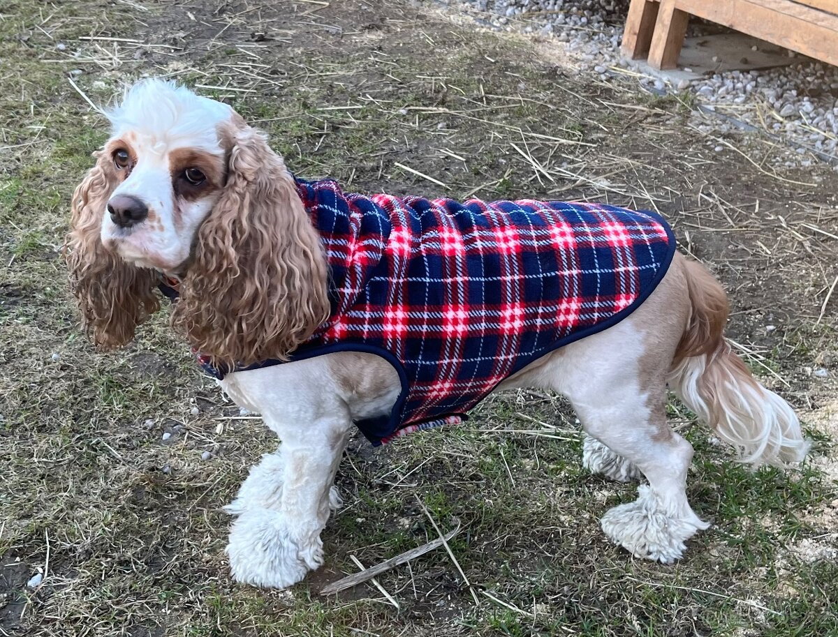 Karovana vestička - 3