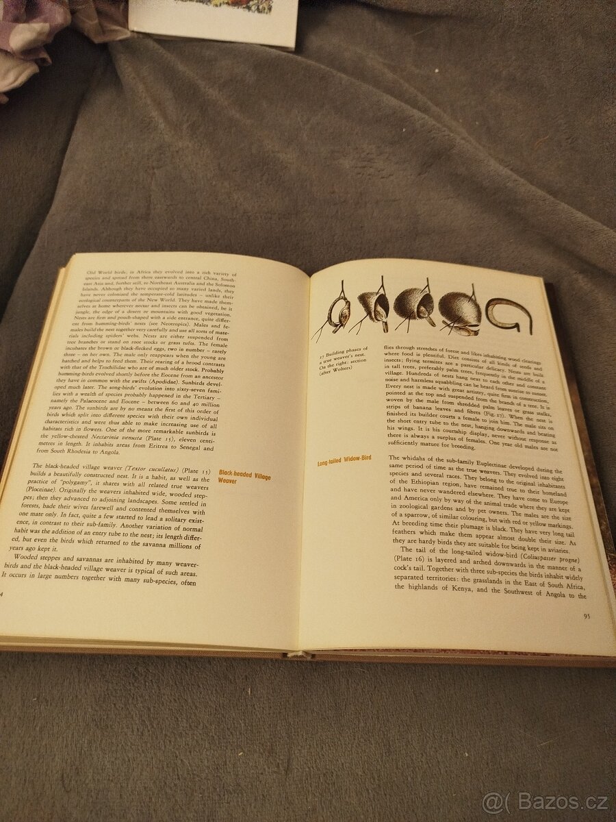 Birds Throughout thé World, Leipzig 1978 - 3