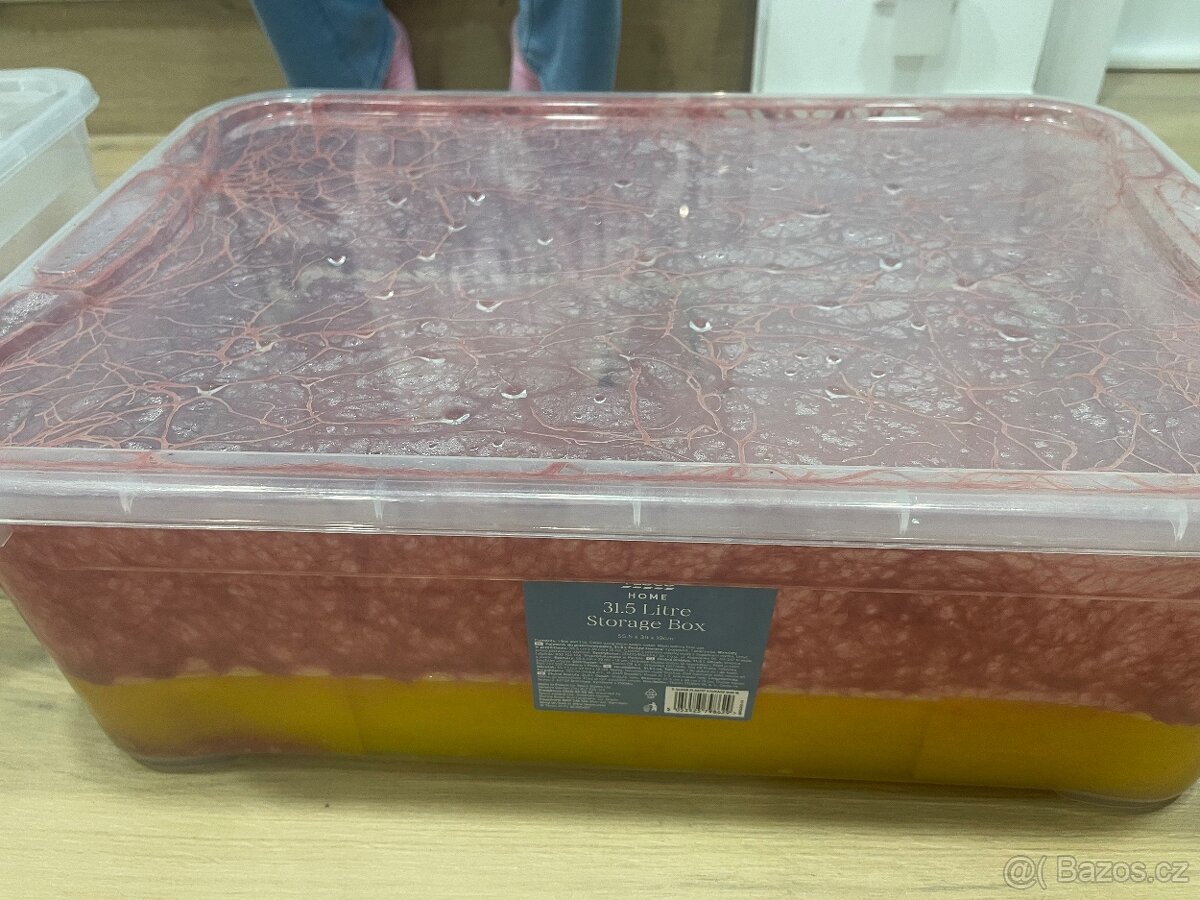 Zive krmivo - 3