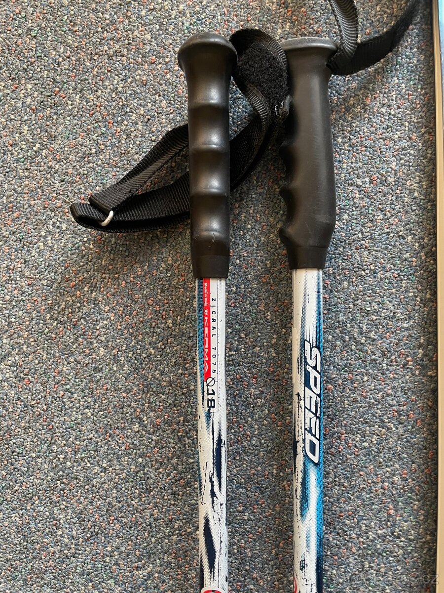Dynastar Omeglass WC 186cm - 3
