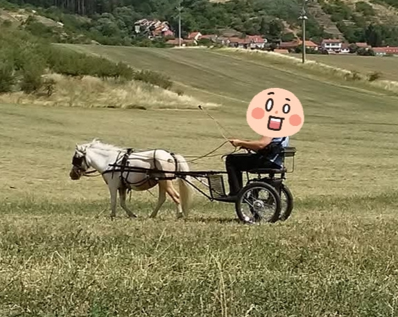 Sulka pro minipony - 3