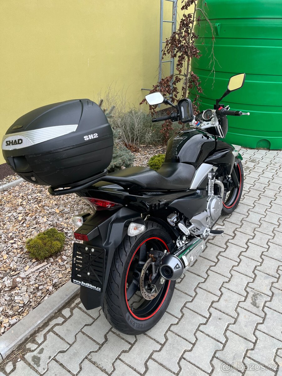 Suzuki GW 250 INAZUMA - 3