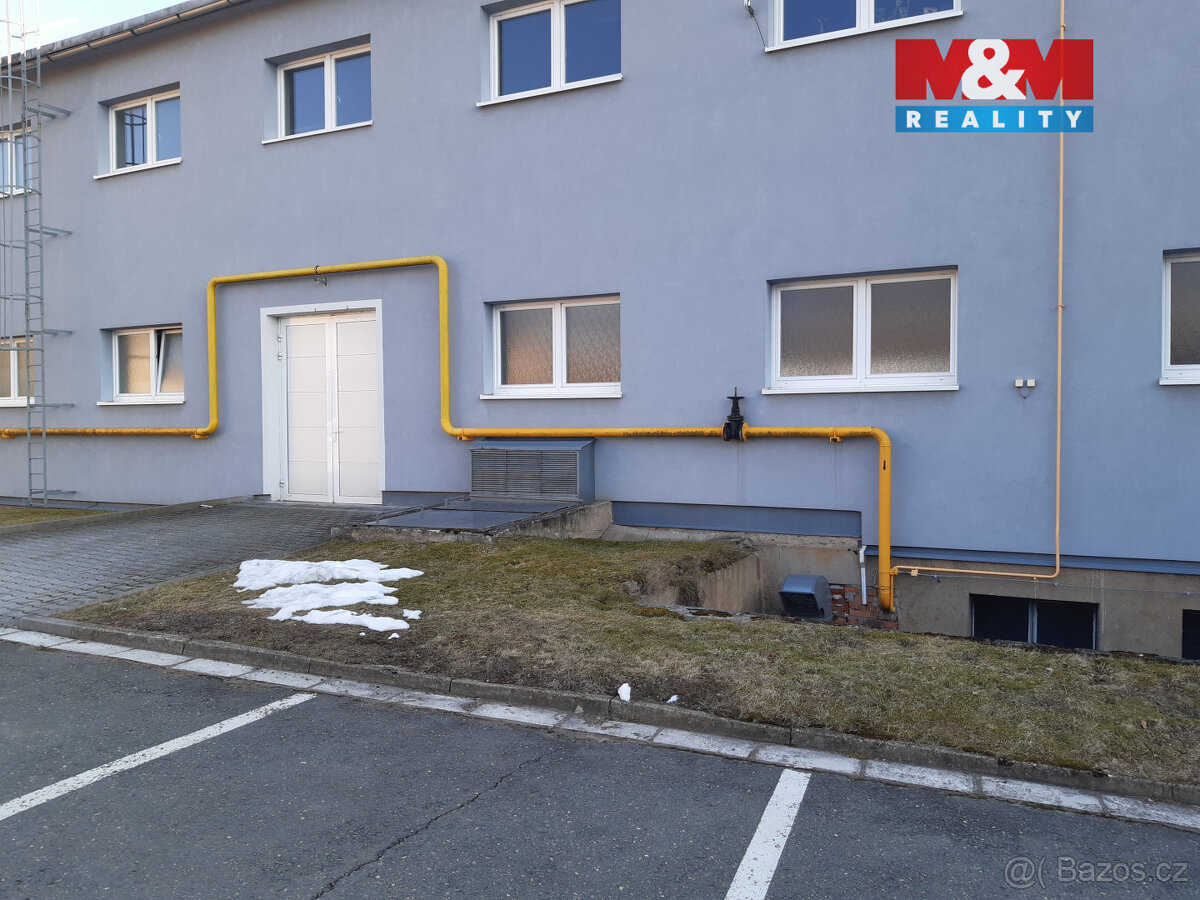 Pronájem výrobního objektu, 4465 m², Červený Kostelec, Lhota - 3