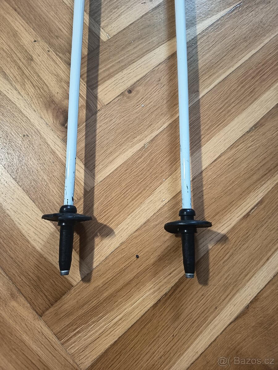 Lyžařské hole - 3