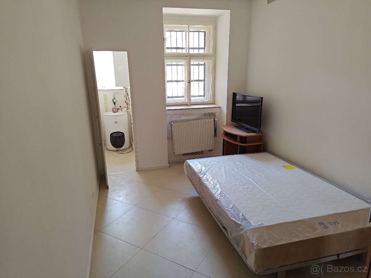 Pronájem bytu 2+kk (47m2) Českomalínská, Praha - 3