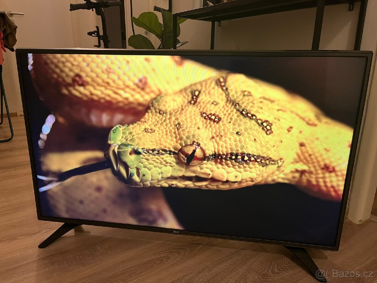 LG SmartTV 108cm - 3