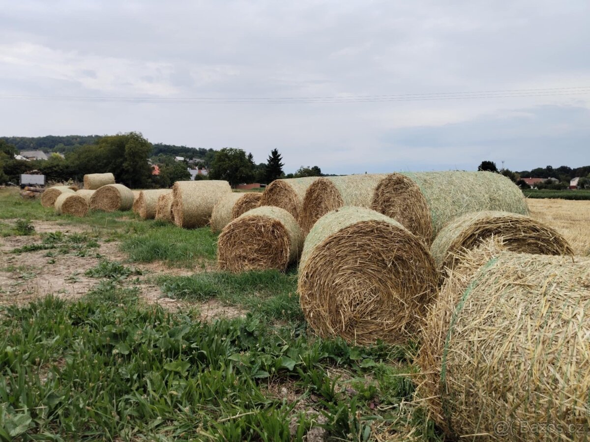 Pšeničná sláma - 3