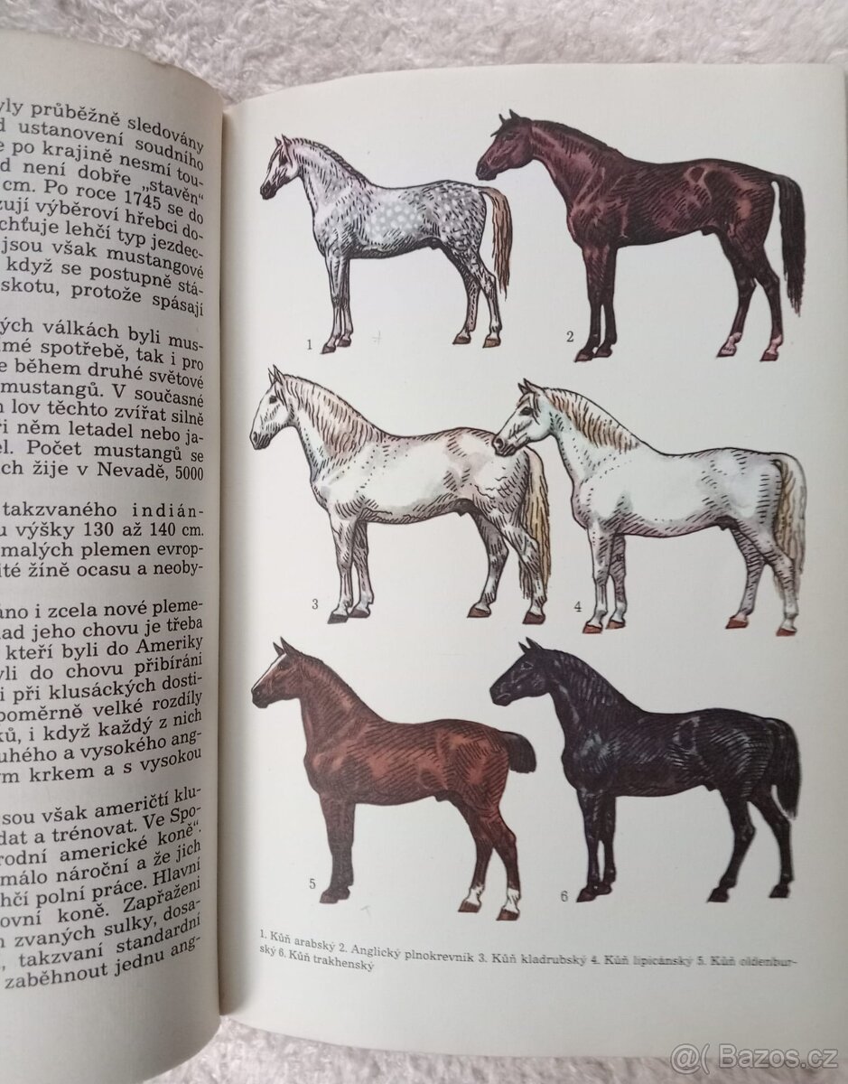 Světem zvířat III. Domácí zvířata - 3