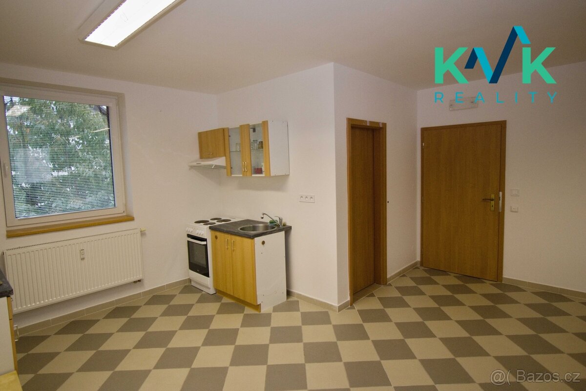 Pronájem bytu 115 m2, 4+kk Bor u Sadova - 3