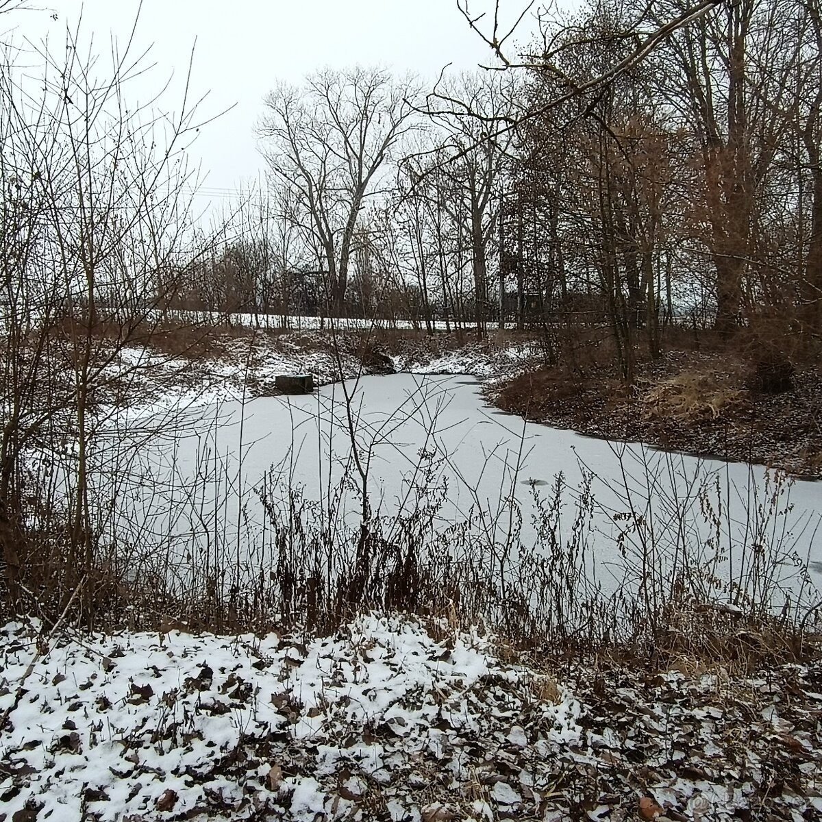 Pronájem rybníků - 3