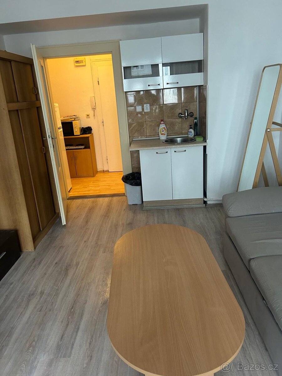 Pronájem bytu 1+kk - 3