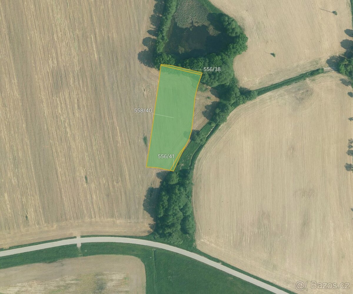 Zemědělská půda, prodej, Olešník, České Budějovice - 3