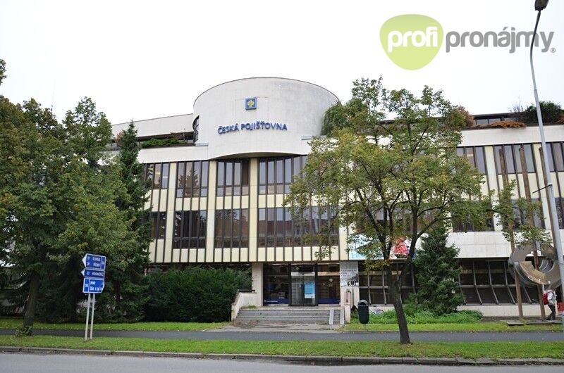 Pronájem obchodního prostoru 175 m² - 3