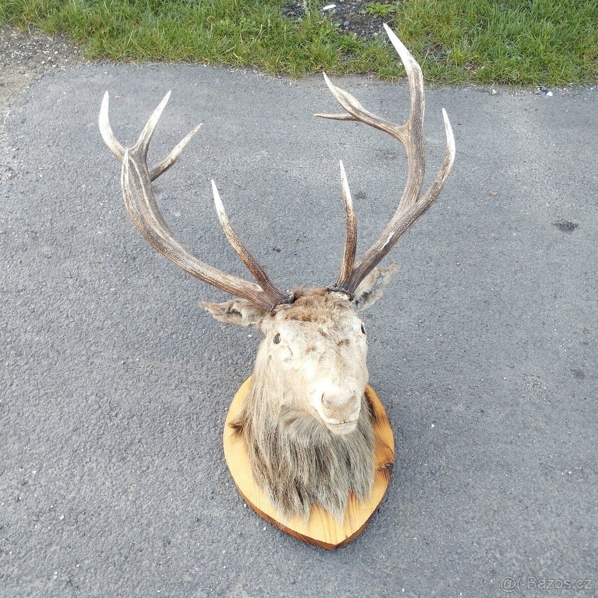 Hodinky ,bankovky ,mince ,.... - 3