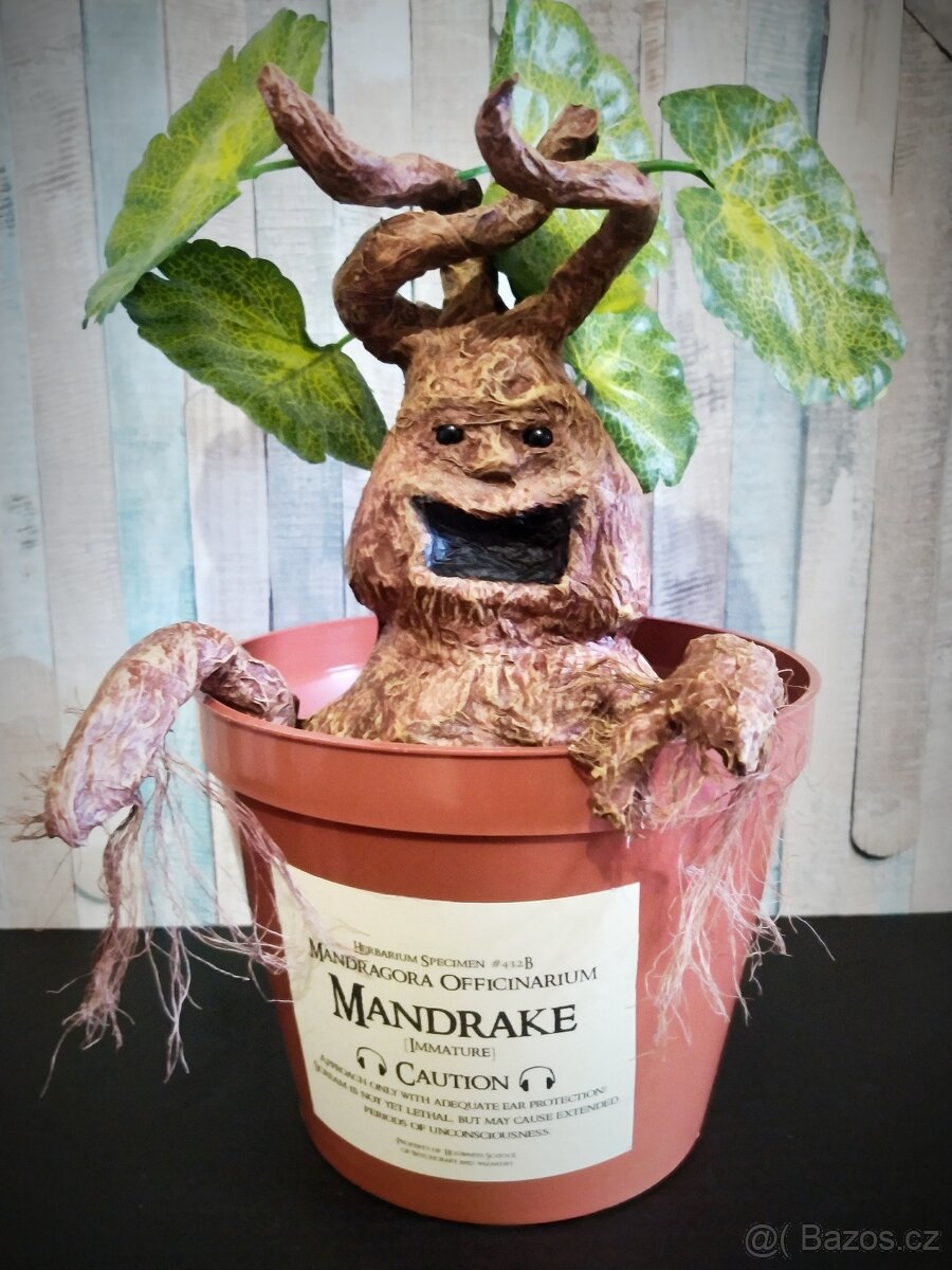Mandragora Harry Potter - 3