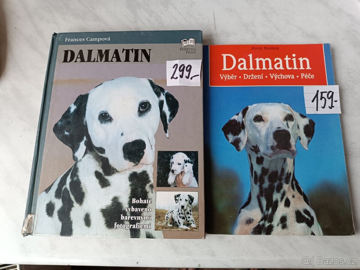 Kokršpaněl Briard Dalmatin irský setr český terier - 3