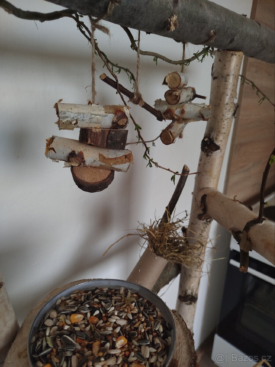 Strom pro papoušky - 3