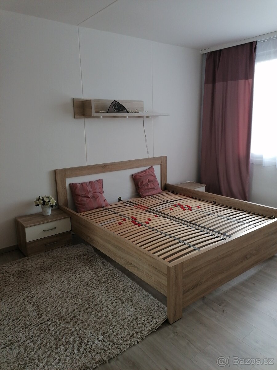 Pronájem bytu 3+1 - 3