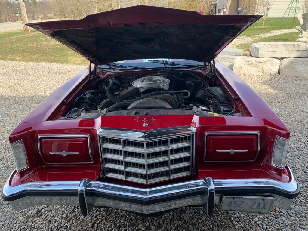1979 Ford Thunderbird 5.8L V-8 3 vozy - 3