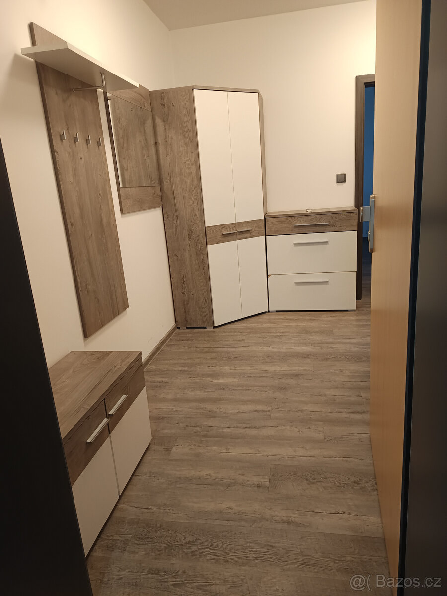 Pronájem bytu 3+kk Olomouc - 3