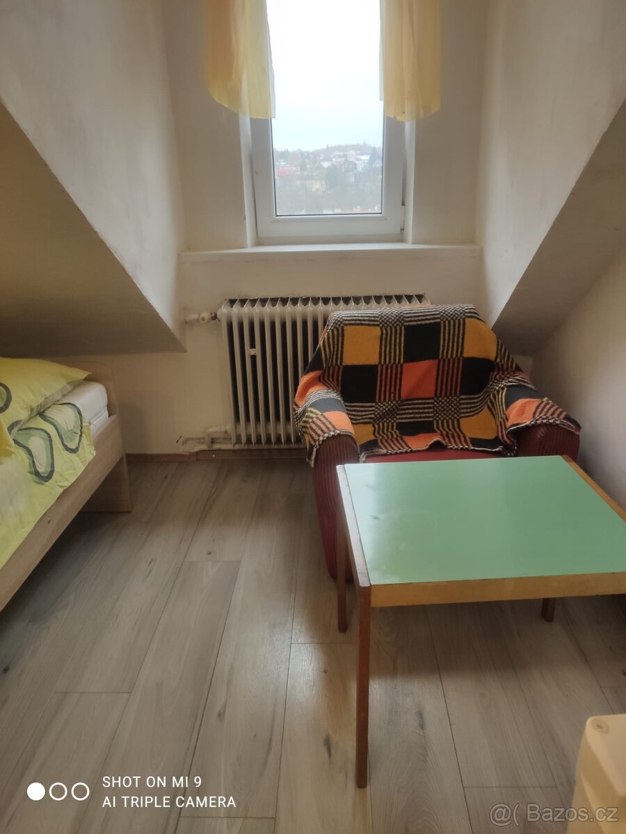 Pronájmu byt 1+KK v Karlovych Varech - 3