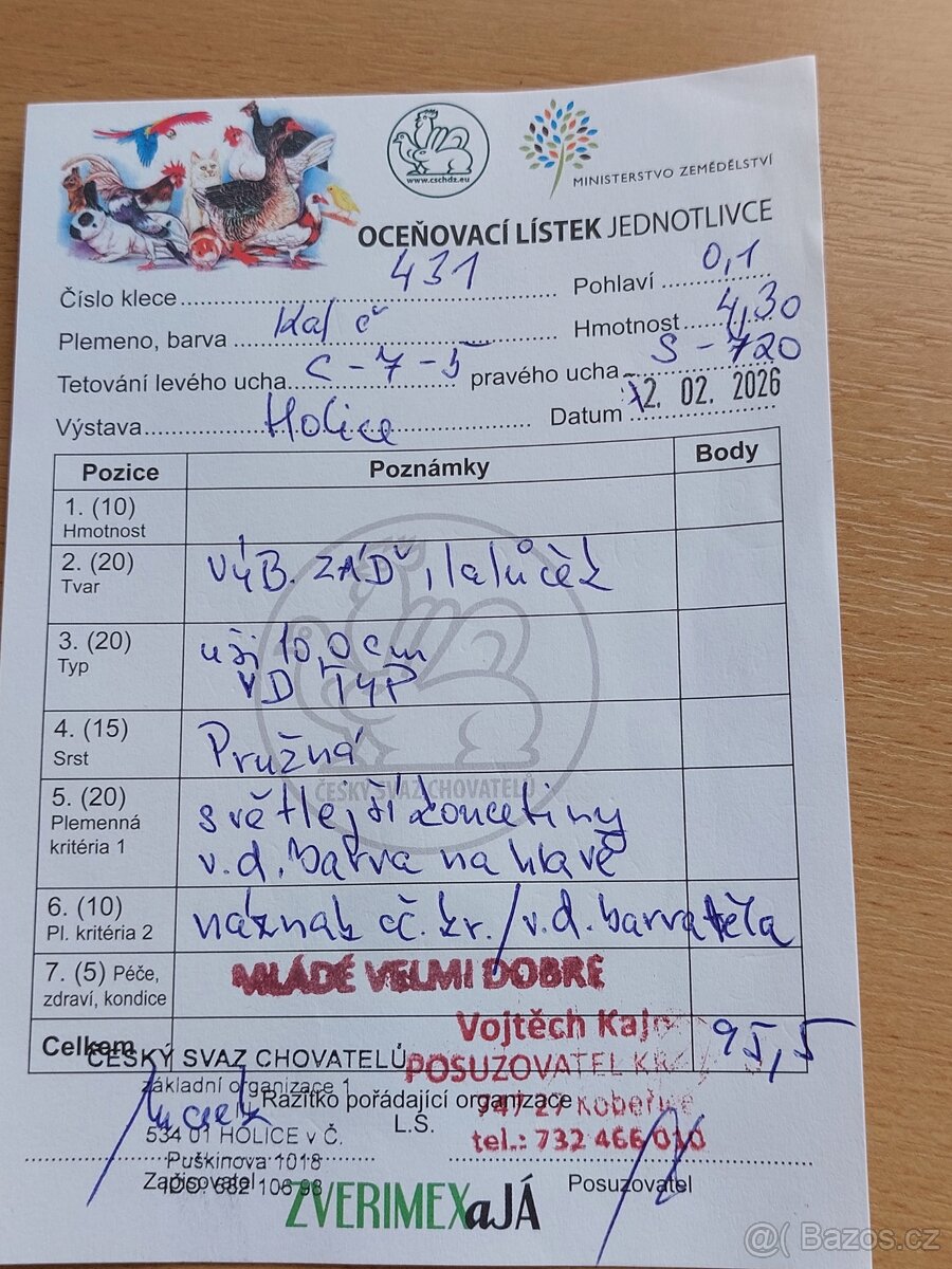 Kalifornský černý - 3