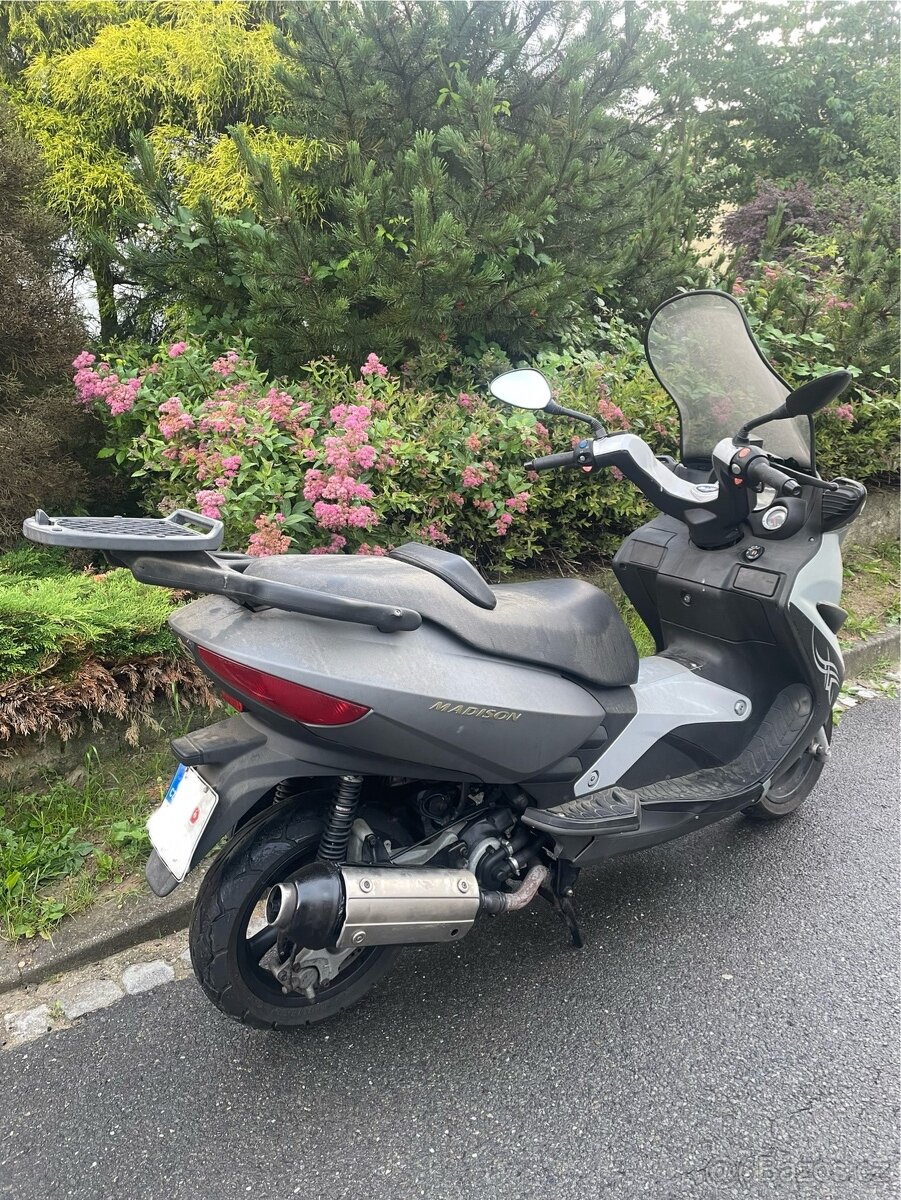 Malaguti Madison 250 RS - 3