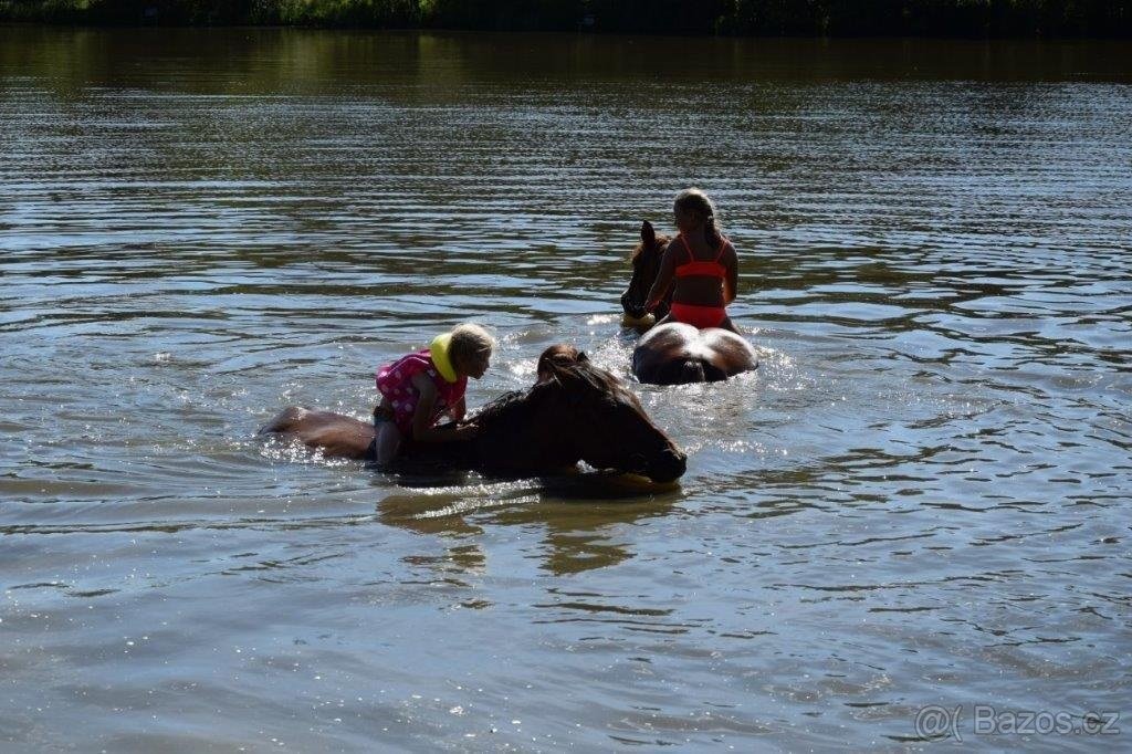 VYJÍŽĎKY NA KONÍCH - 3