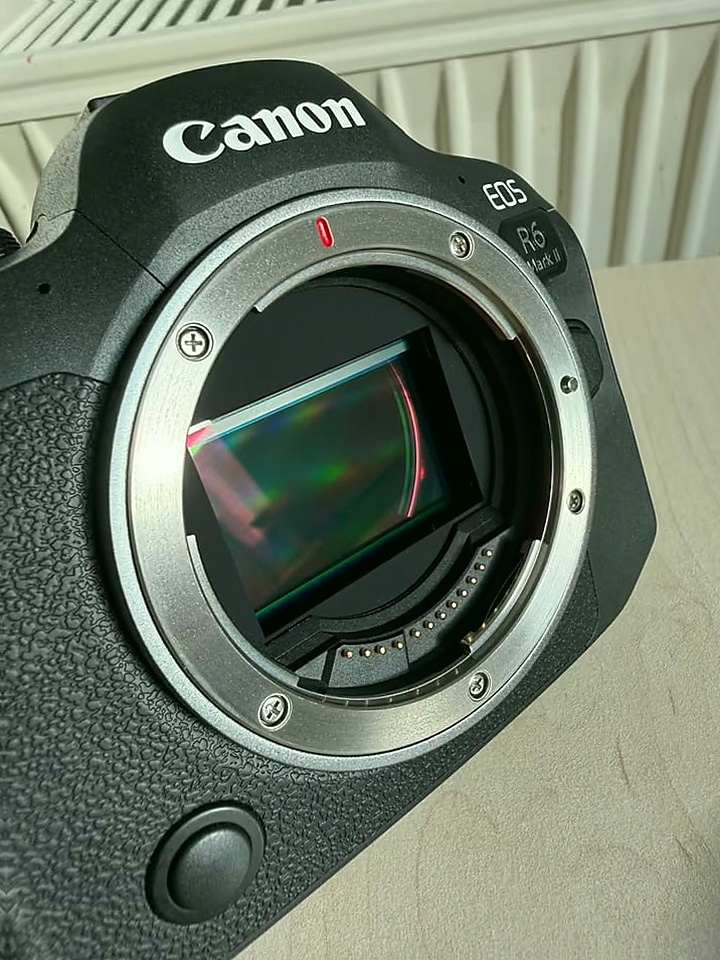 Canon EOS R6 Mark II - 3