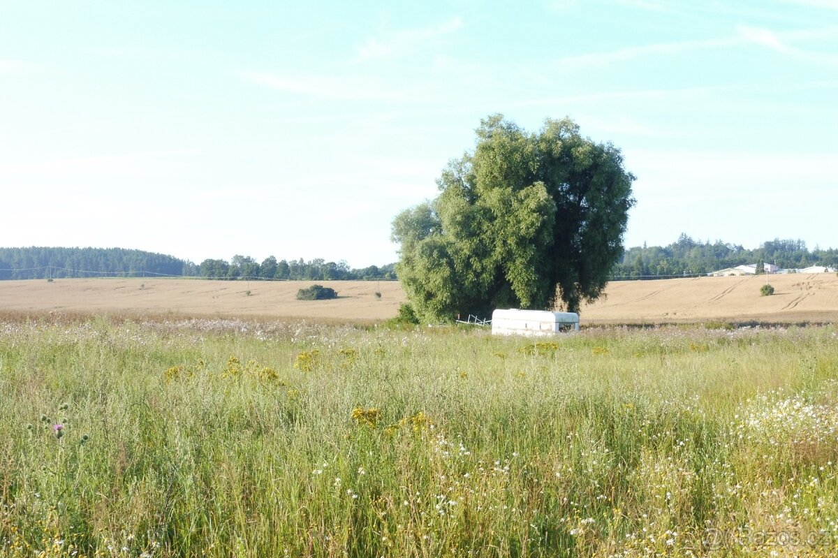 Pozemky v obci Blatná - 3