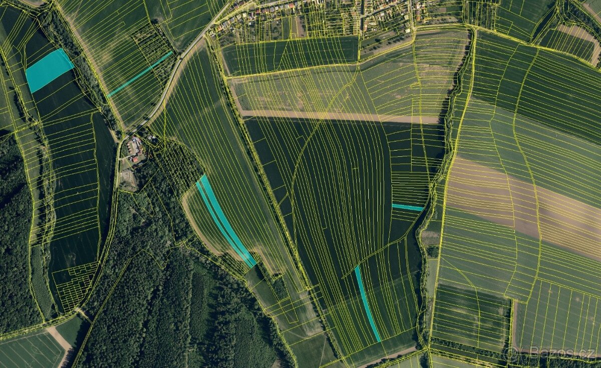 Prodej zemědělské půdy s dobrou bonitou – 5,7 ha - Morkovice - 3