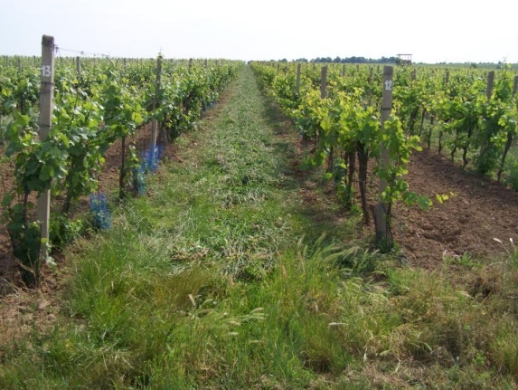 Válec na válení bylin - 3