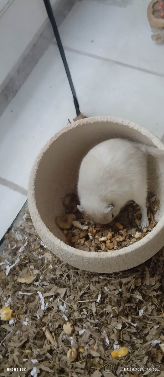 DARUJEME PÍSKOMILA - 3