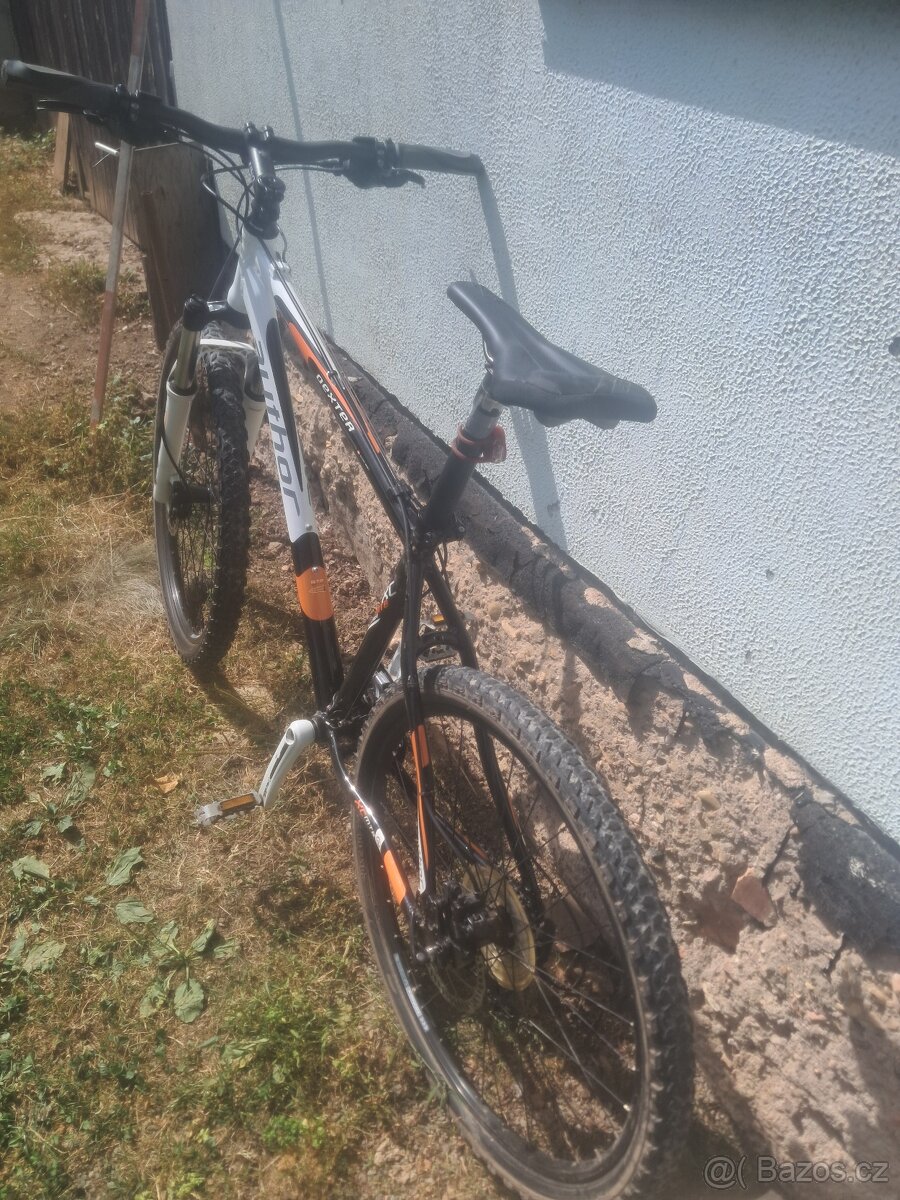 Pánské kolo AUTHOR DEXTER - 3