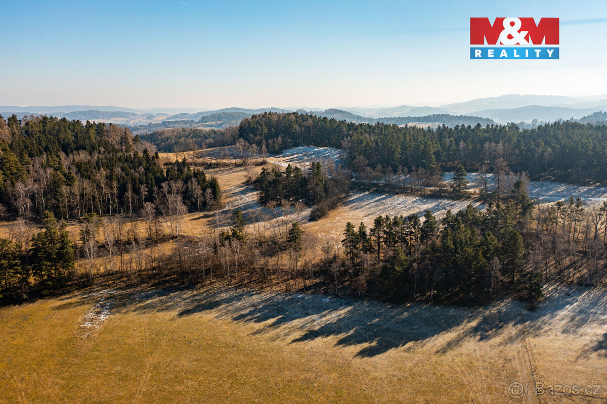 Prodej lesa, 12140 m², Nišovice - 3