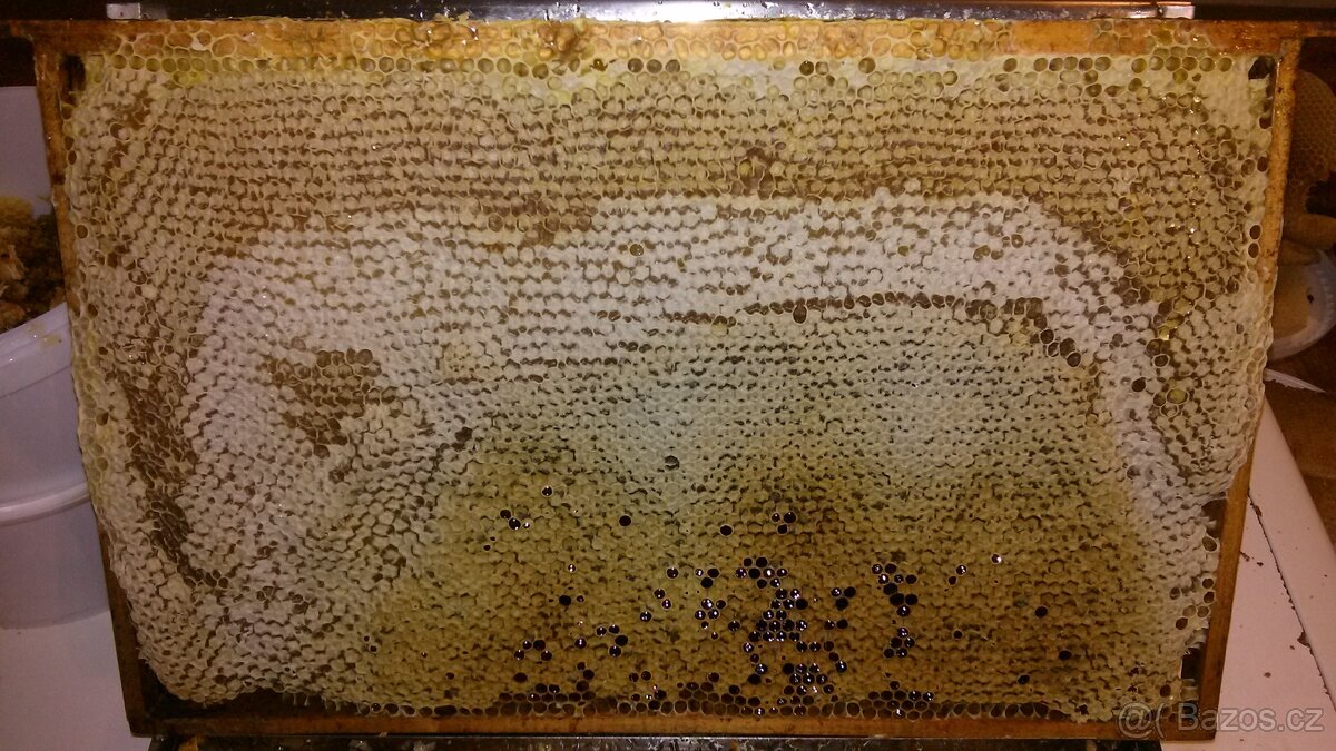Včelí oddělky - 3
