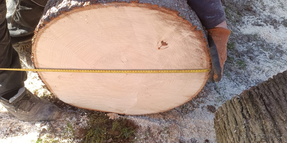 Prodám kmen lípy - 3