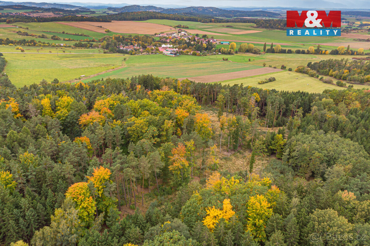 Prodej lesa, 39171 m², Ježovy - 3