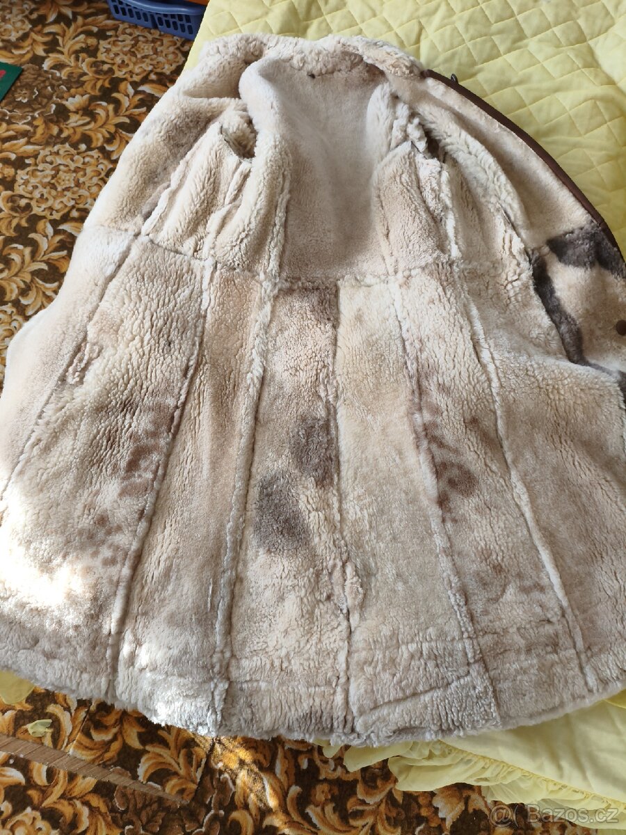 Dámský dubeňák - 3