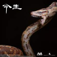 Queen Studios - Rock Python and Nile Crocodile - 3