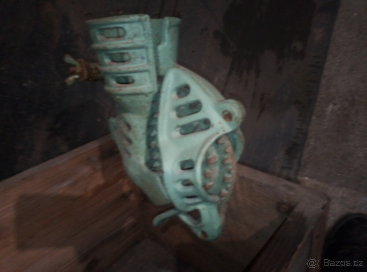 drhlík na kukuřici - 3