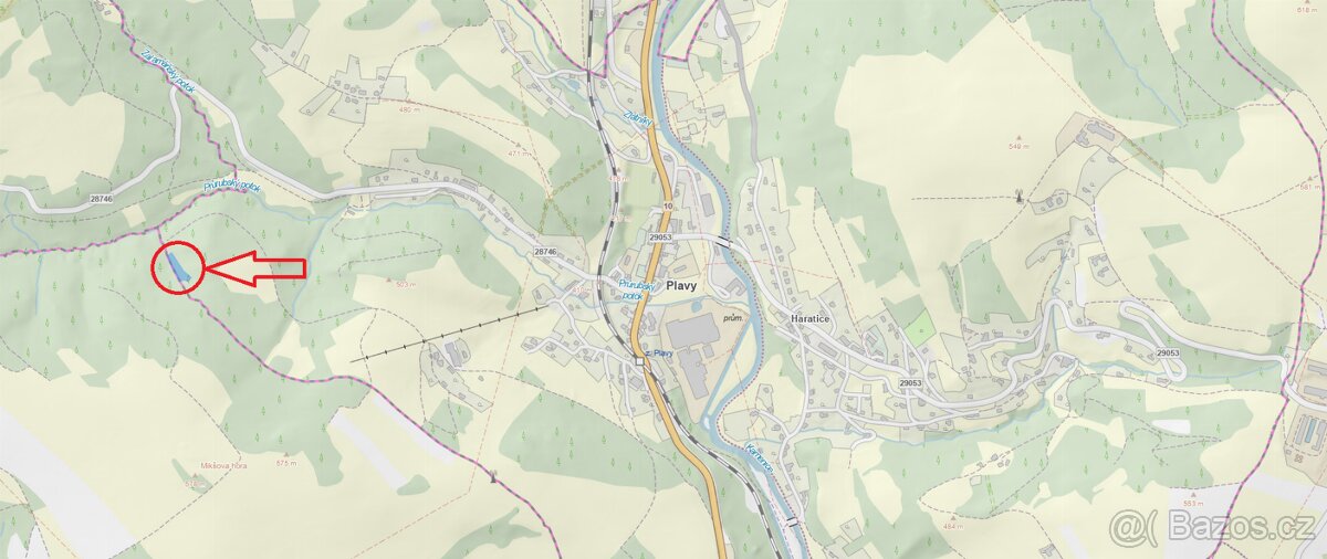 Prodám lesní pozemek v k.ú. Plavy - 3