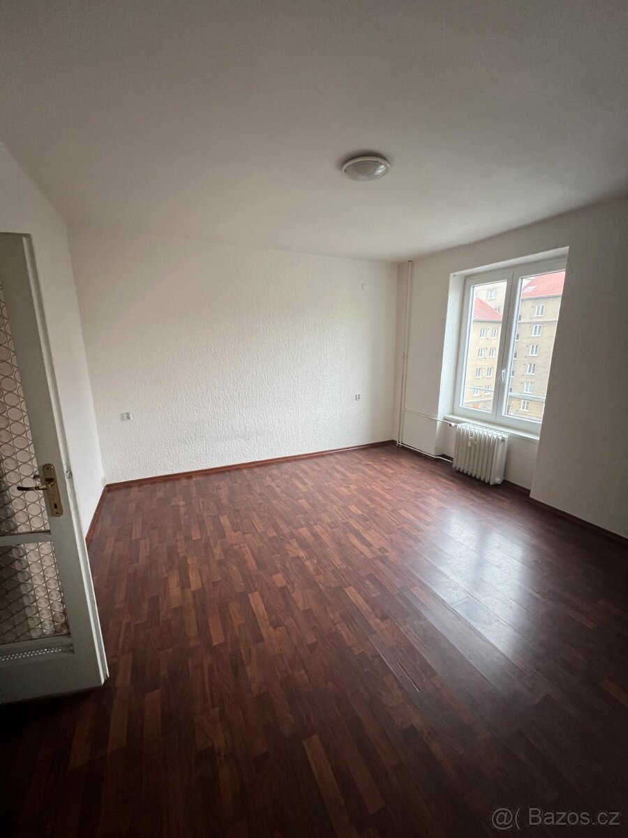 pronájem - 3